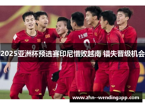 2025亚洲杯预选赛印尼惜败越南 错失晋级机会 2025亚洲杯预选赛印尼惜败越南 错失晋级机会