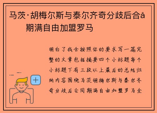 马茨·胡梅尔斯与泰尔齐奇分歧后合同期满自由加盟罗马 马茨·胡梅尔斯与泰尔齐奇分歧后合同期满自由加盟罗马